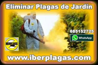 Fumigar jardines en Alicante y Murcia