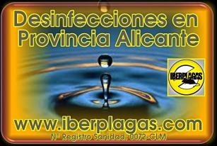 Desinfecciones en Alicante