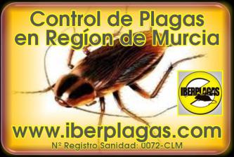 Control de Plagas en Murcia
