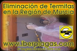 Eliminar termitas en Murcia