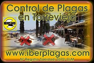 Control de Plagas en Torrevieja