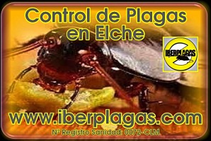 Control de Plagas en Elche