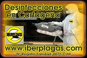 Desinfecciones en Cartagena