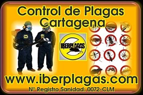 Control de Plagas en Cartagena
