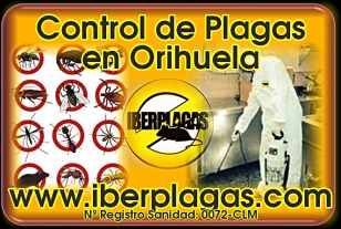 Control de Plagas en Orihuela