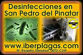 Desinfecciones en San Pedro del Pinatar