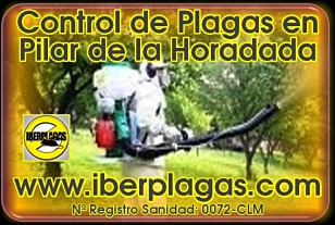 Control de plagas en Pilar de la Horadada