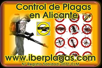Control de Plagas en Alicante