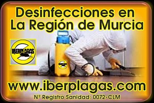 Empresa de desinfección en Murcia