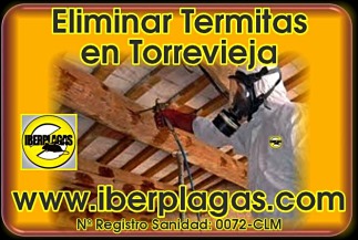 Eliminar termitas en Torrevieja