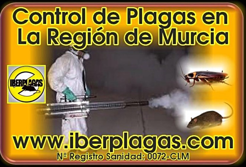 Control de Plagas en Murcia
