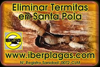 Eliminar Termitas en Santa Pola