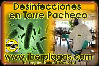 Desinfecciones en Torre Pacheco