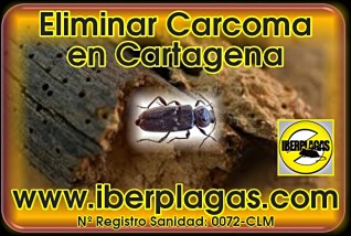 Eliminar Carcoma en Cartagena