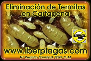 Eliminar Termitas en Cartagena