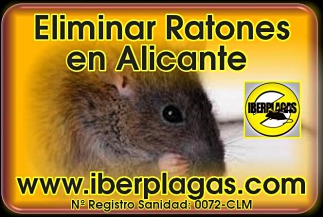 Eliminar ratones en Alicante
