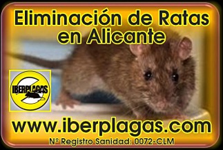 Eliminar Ratas en Alicante