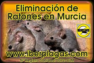 Eliminar Ratones en Murcia