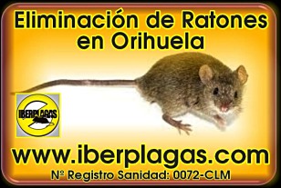 Eliminar ratones en Orihuela