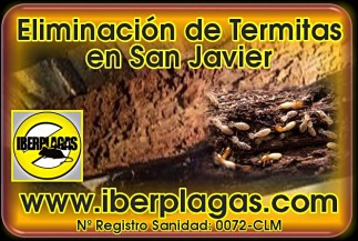 eliminar termitas en San Javier