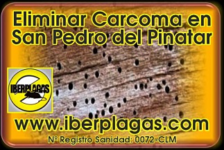 eliminar carcoma en San Pedro del Pinatar
