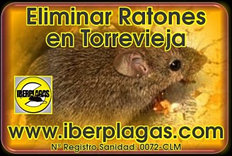 Eliminar ratones en Torrevieja