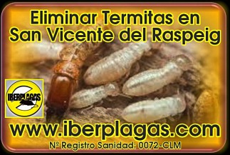 Eliminar termitas en San Vicente del Raspeig