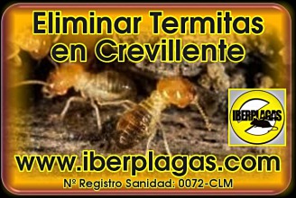 eliminar termitas en Crevillente