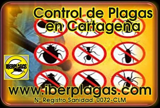 Control de Plagas en Cartagena
