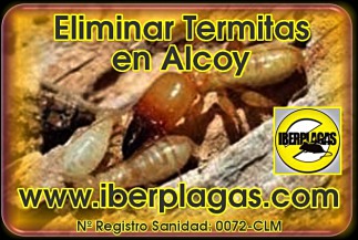 Eliminar termitas en Alcoy