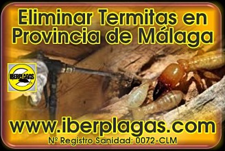 Eliminar termitas en Málaga
