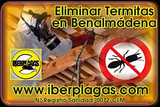 Eliminar termitas en Benalmádena