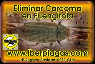 Eliminar Carcoma en Fuengirola