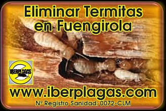 eliminar termitas en Fuengirola
