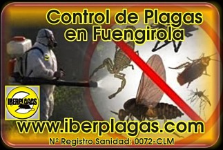 Control de Plagas en Fuengirola