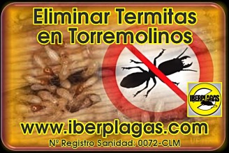 Eliminar Termitas en Torremolinos