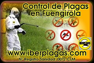 Control de plagas en Fuengirola