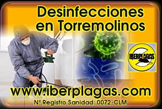 Desinfecciones en Torremolinos