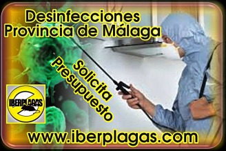 Presupuesto empresa de desinfección en Málaga