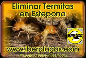 Eliminar Termitas en Estepona