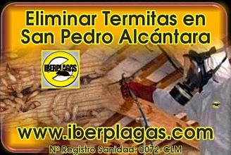 Eliminar termitas en San Pedro Alcántara