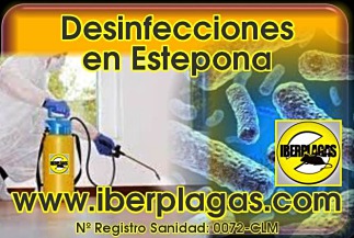 Desinfecciones en Estepona