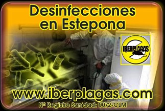 Desinfecciones en Estepona