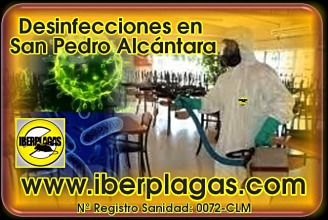 Desinfecciones en San Pedro Alcántara