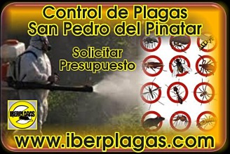 Presupuesto Control de plagas en San Pedro del Pinatar