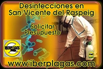 Presupuesto de desinfección en San Vicente del Raspeig