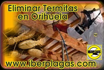 eliminar termitas en Orihuela