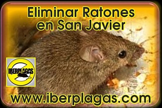 Eliminar ratones en San Javier