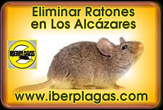 Eliminar ratones en Los Alcázares