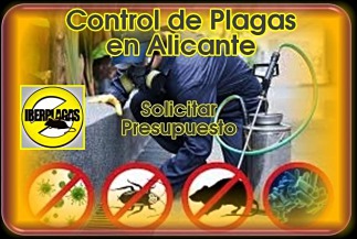 Control de plagas en Alicante